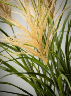 Sullivans Artificial Potted Agave Reed