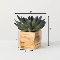 Sullivans Artificial Potted Succulent 6"H Green -Sullivans Sales GUEST 2475955d 8d42 4cc0 b718 bf3c5417b85f