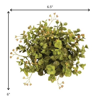 Sullivans Eucalyptus 1/2 Orb Decorative Filler 6"H Green 1 Sullivans Eucalyptus 1/2 Orb Decorative Filler 6"H Green