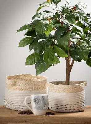 Sullivans Set Of 2 Basket Maize & Natural Basket 7"H & 7.5"H Off-White -Sullivans Sales GUEST 55f467b2 aa3a 4efa adb6 e0dd995f1f58
