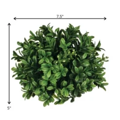 Sullivans Boxwood Half Orb Decorative Filler 5"H Green