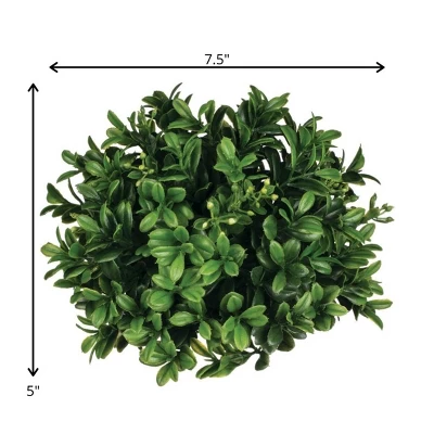 Sullivans Boxwood Half Orb Decorative Filler 5"H Green 1 Sullivans Boxwood Half Orb Decorative Filler 5"H Green
