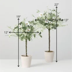 Sullivans Set Of 2 Artificial Daisy Eucalyptus Topiary 22"H & 19"H Green -Sullivans Sales GUEST 70e862d8 9087 418b 851c 14ab087b46b1