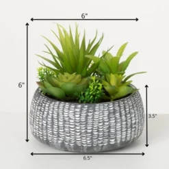 Sullivans Artificial Succulent In Cement Planter 6"H Green 11 Sullivans Artificial Succulent In Cement Planter 6"H Green -Sullivans Sales GUEST 85268cda a12b 454c b4f2 bb17536087cc