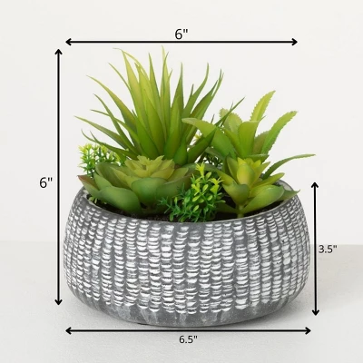 Sullivans Artificial Succulent In Cement Planter 6"H Green 6 Sullivans Artificial Succulent In Cement Planter 6"H Green - Image 6