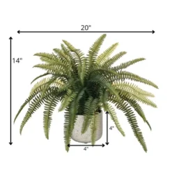 Sullivans Artificial Potted Fern Plant 14"H Green 7 Sullivans Artificial Potted Fern Plant 14"H Green -Sullivans Sales GUEST 95087406 40a2 4efa 90fe fade55b631b6