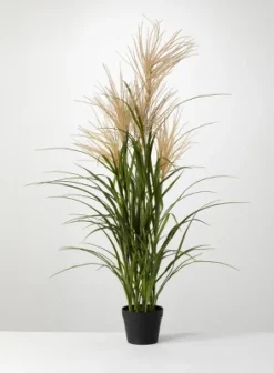 Sullivans Artificial Potted Agave Reed -Sullivans Sales GUEST afa9ea2a e828 4a4d 938a 2b83b3f86fe6