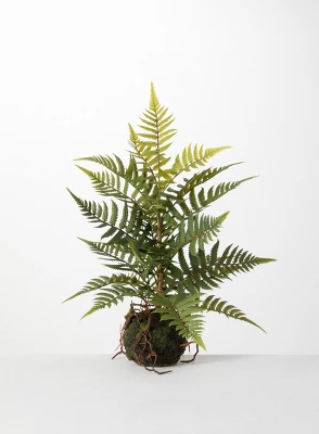 Sullivans Artificial Fern In Ball 4 Sullivans Artificial Fern In Ball - Image 4