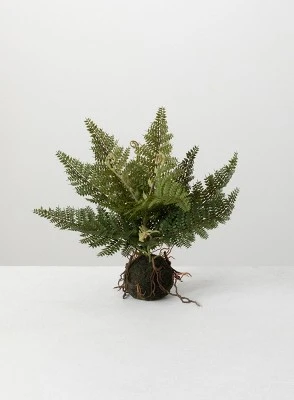 Sullivans Artificial Fern In Ball 3 Sullivans Artificial Fern In Ball - Image 3