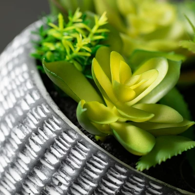 Sullivans Artificial Succulent In Cement Planter 6"H Green 1 Sullivans Artificial Succulent In Cement Planter 6"H Green