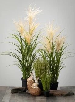 Sullivans Artificial Potted Agave Reed -Sullivans Sales GUEST e8bf9cd4 6857 45e7 8be5 daf64fb3a83b